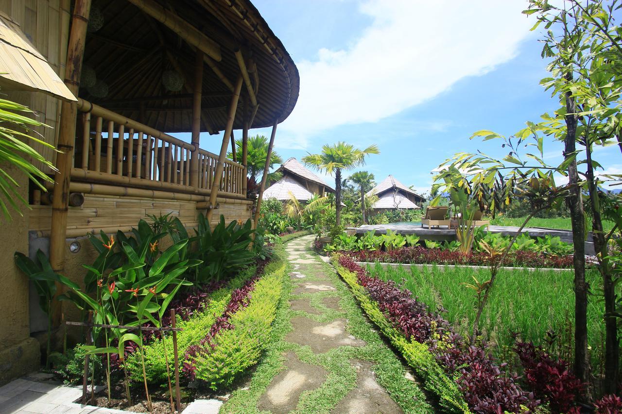 Padi Bali Eco Villas Payangan Exteriér fotografie