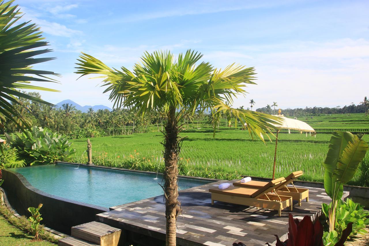 Padi Bali Eco Villas Payangan Exteriér fotografie
